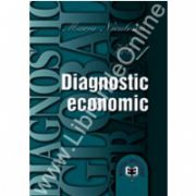 Diagnostic global strategic, Volumul I. Diagnostic economic