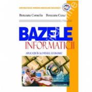 Bazele informaticii - aplicatii in domeniul economic