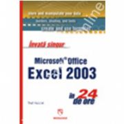 Invata singur Microsoft Office Word 2003 in 24 de ore