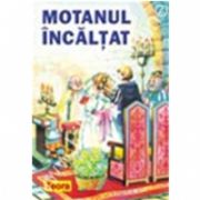 Motanul Incaltat