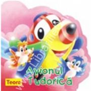Avionul Tudorica