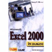 Excel 2000 in imagini