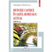 Muncile casnice in satul romanesc actual. Studii de caz