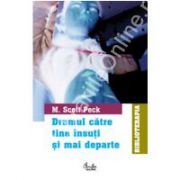 Drumul către tine însuţi şi mai departe. Evoluţia spirituală într-o epocă a anxietăţii