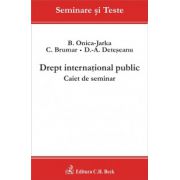 Drept international public. Caiet de seminar