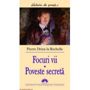 FOCURI VII - POVESTE SECRETA