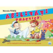 Abilitati practice clasa I