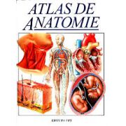 Atlas de Anatomie