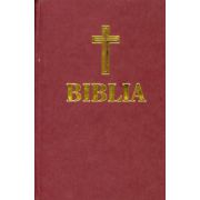 Biblia  (mica)