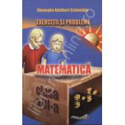 Exercitii si probleme matematica clasa a VI-a