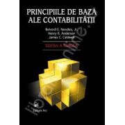 Principiile de baza ale contabilitatii