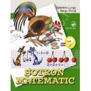 Sotron matematic