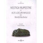 Vestigii rupestre si alte locuri magice din Muntii Buzaului