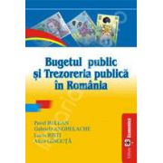 Bugetul public si trezoreria publica in Romania