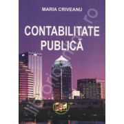 Contabilitatea publica