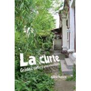 La curte - Gradina, cartier si peisaj urban in Bucuresti