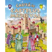 Cauta in castelul medieval