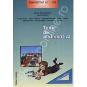 Teme de matematica clasa a VII-a. Semestrul al II-lea