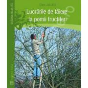 Lucrarile de taiere la pomii fructiferi
