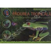 Padurea tropicala. O calatorie de la rau pana in varful copacilor