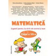 Matematica clasa a VII-a, Sugestii pentru lucrarile de control si teze
