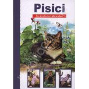 Pisici. In ajutorul elevului