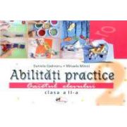 Abilitati practice pentru clasa a II-a. Caiet + 12 planse