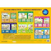 Planse didactice. Animale domestice
