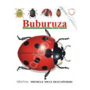 Primele mele descoperiri. Buburuza