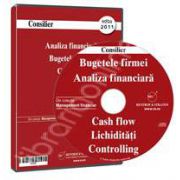 CD - Analiza financiara, Bugetele firmei, Cash flow, Lichiditati, Controlling