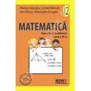 Matematica. Exercitii si probleme. Clasa a VI-a, semestrul II (2011-2012)