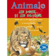 Animale din jungla si din savana - Picto-abtibilduri cu animale