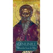 Minunile Sfantului Ioan de Rila