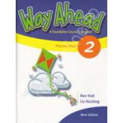 Way Ahead 2 Grammar Practice Book