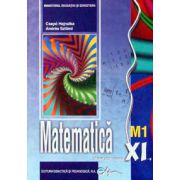Matematica (M1) manual pentru clasa a XI-a (Andas Szilard)