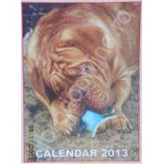 Calendar triptic 2013 de perete (Imagini cu caini)