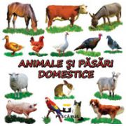 Animale si pasari domestice (Carte cu imagini color)