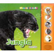 Jungla (Apasa pe butoane si vei auzi animalele din jungla!)