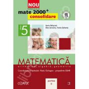 Mate 2000 pentru clasa a V-a. Partea a II-a, CONSOLIDARE. Matematica, aritmetica, algebra, geometrie