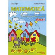 Matematica. Exercitii si probleme pentru clasa I