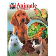 Animale de companie - Ce si cum