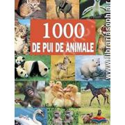 1000 de pui de animale