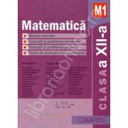 Matematica M1, clasa a XII-a. Culegere de probleme (Marius Burtea)