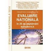 Matematica, evaluare nationala 2014