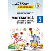 Mate 2000. Matematica CONSOLIDARE, culegere de exercitii probleme si teste, pentru clasa a II-a