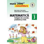 Mate 2000. Matematica CONSOLIDARE, culegere de exercitii probleme si teste, pentru clasa a III-a