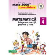 Mate 2000. Matematica CONSOLIDARE, culegere de exercitii probleme si teste, pentru clasa a IV-a