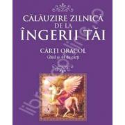 Calauzire zilnica de la ingerii tai. Carti oracol, ghid si 44 de carti
