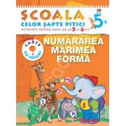 Numararea, marimea, forma. Activitati pentru copiii de la 5 la 6 ani - carte cu jocuri