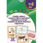 Oameni, animale. Plante si parti componente. Fenomene ale naturii. Elemente de igiena personala. Anotimpuri. 36 de jetoane